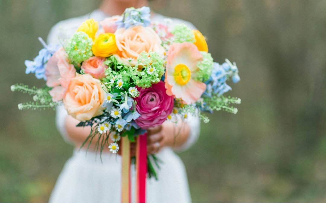 A Bright Burst of Spring Blooms for Woodland Shoot by Camilla J Hards